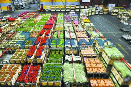 蔬菜保鮮冷庫 蔬菜保鮮冷庫